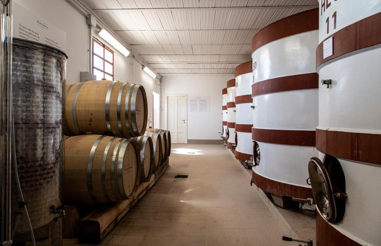 Monna Caterina Wine Resort Vinci Kültér fotó
